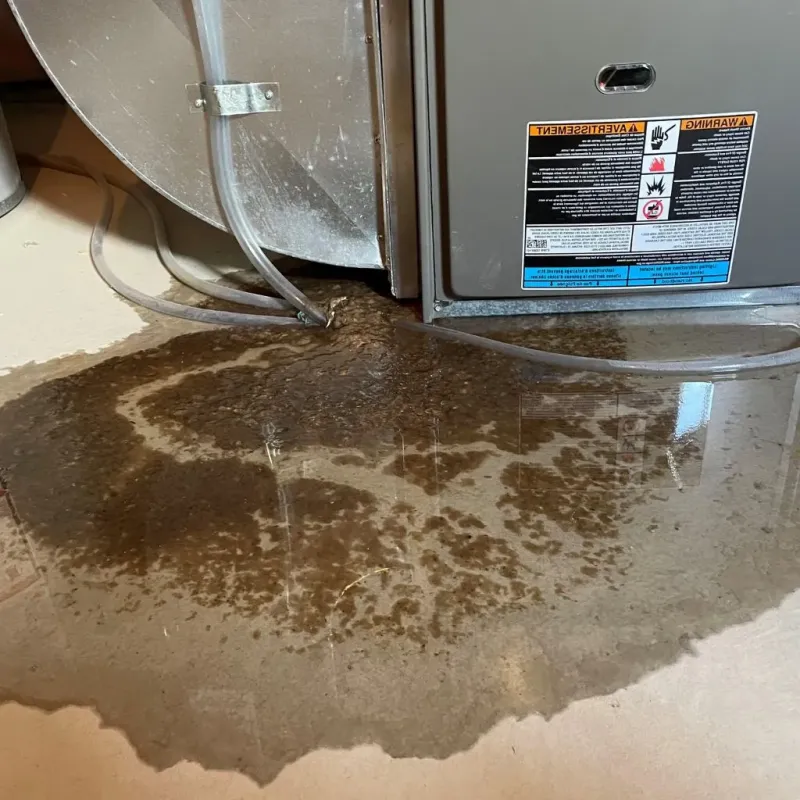 Pipe Burst and Leak Restoration in Bernalillo County, NM