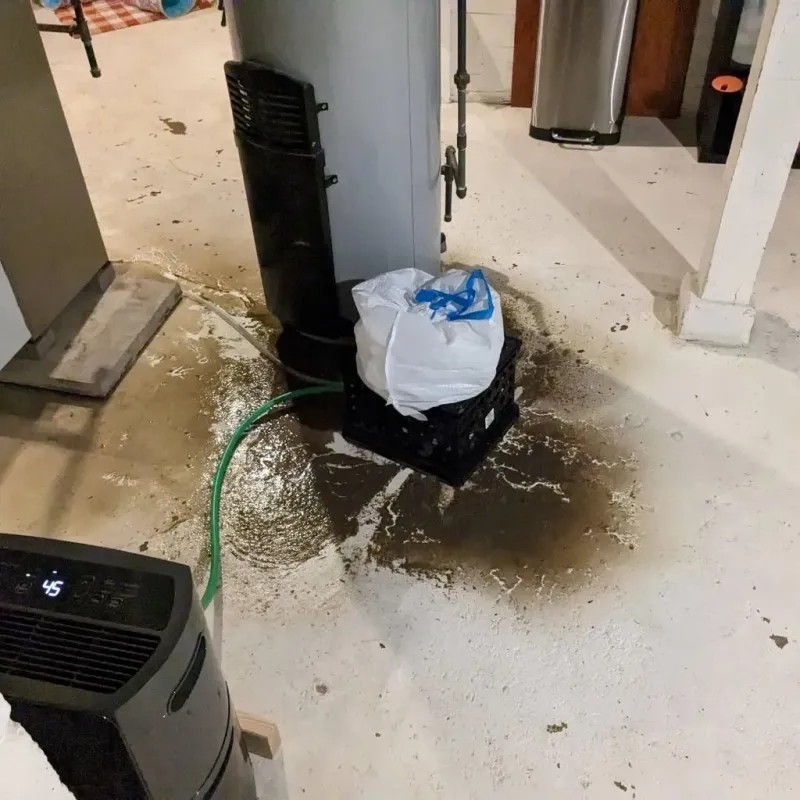 Sewage Backup Cleanup Service in Bernalillo County, NM